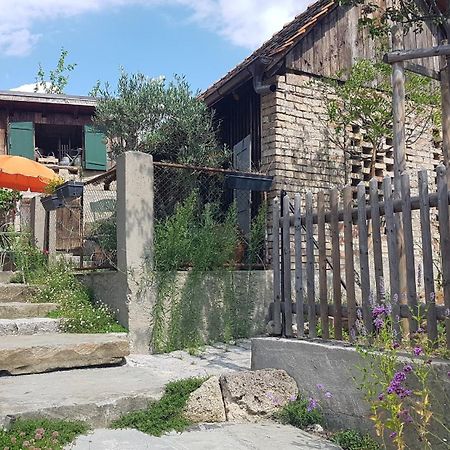 Historisches Fachwerkhaus "Hoher Hirschen" - Stilvolles Studio Und Museales Apartment Mit Romantischem Hof Und Garten Бодман-Людвигсхафен Экстерьер фото