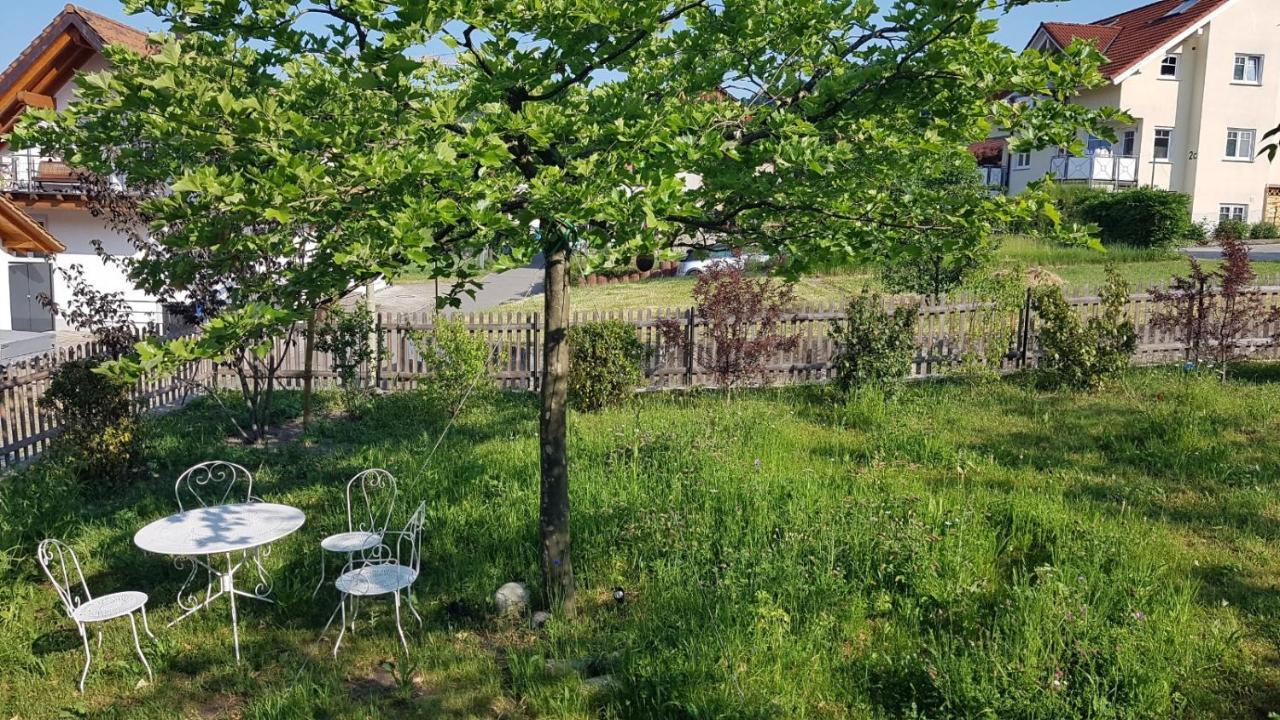 Historisches Fachwerkhaus "Hoher Hirschen" - Stilvolles Studio Und Museales Apartment Mit Romantischem Hof Und Garten Бодман-Людвигсхафен Экстерьер фото