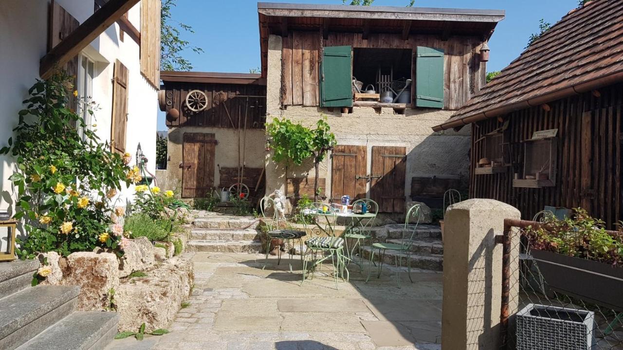 Historisches Fachwerkhaus "Hoher Hirschen" - Stilvolles Studio Und Museales Apartment Mit Romantischem Hof Und Garten Бодман-Людвигсхафен Экстерьер фото