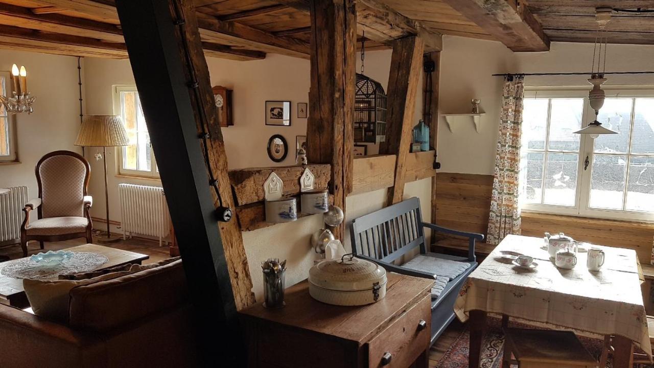Historisches Fachwerkhaus "Hoher Hirschen" - Stilvolles Studio Und Museales Apartment Mit Romantischem Hof Und Garten Бодман-Людвигсхафен Экстерьер фото
