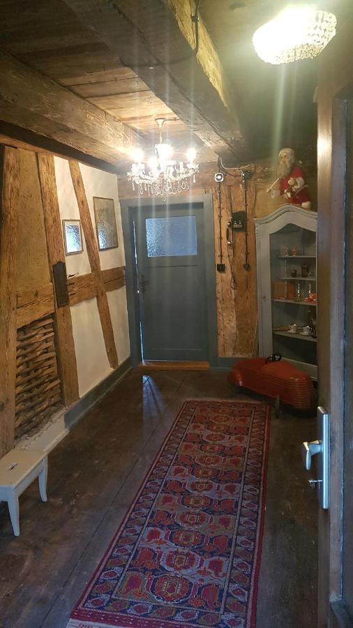 Historisches Fachwerkhaus "Hoher Hirschen" - Stilvolles Studio Und Museales Apartment Mit Romantischem Hof Und Garten Бодман-Людвигсхафен Экстерьер фото